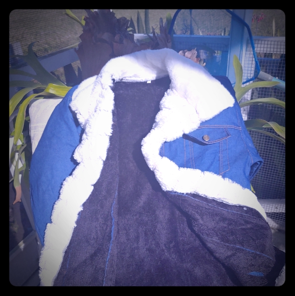 Ladies denim jacket